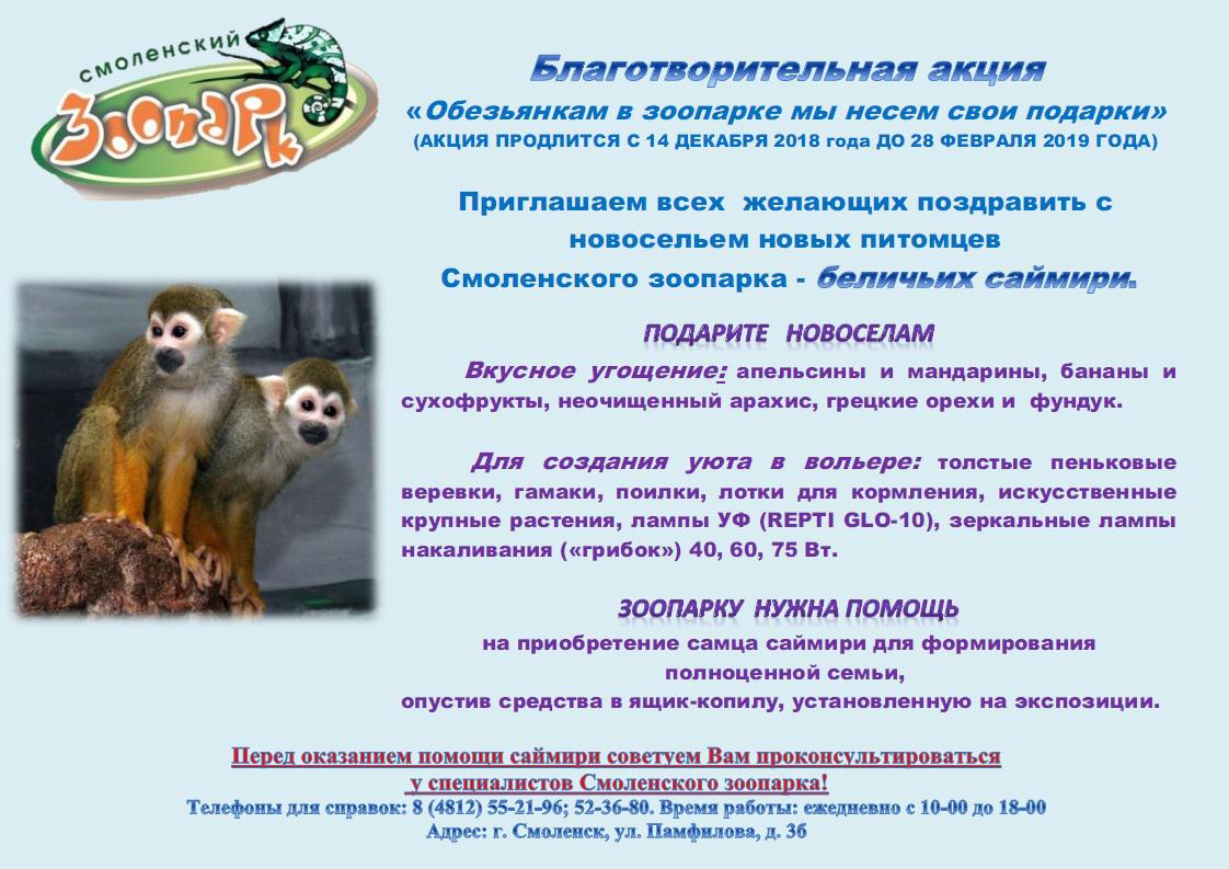 Жители Смоленска могут сделать подарок обезьянкам-саймири