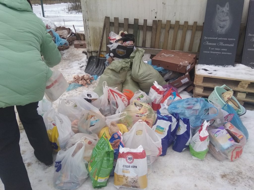 Воспитанники детского сада "Аист" в Смоленске собрали корм для бездомных животных