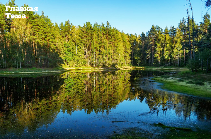 озеро у леса